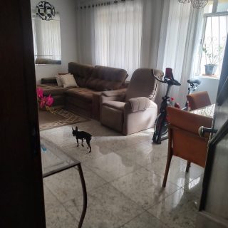 WhatsApp Image 2025-09-08 at 15.11.24 (1)